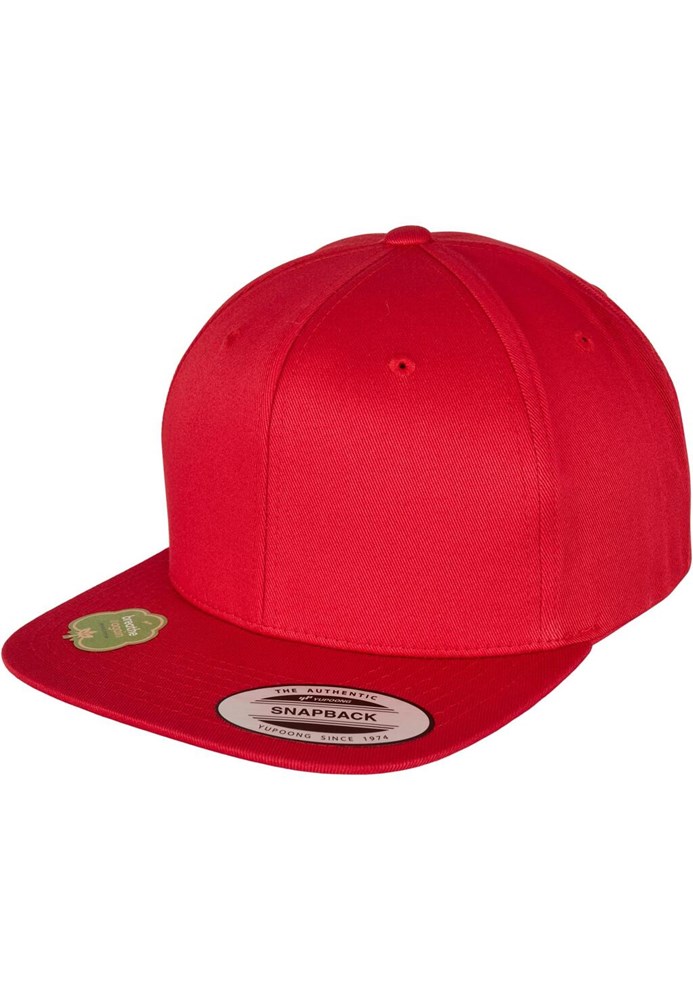 Organic Cotton Snapback